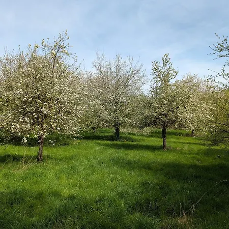 Aus'm Garten Im Holzblockhaus Naehe Aachen